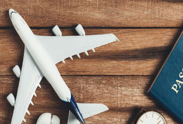 Investor visa services